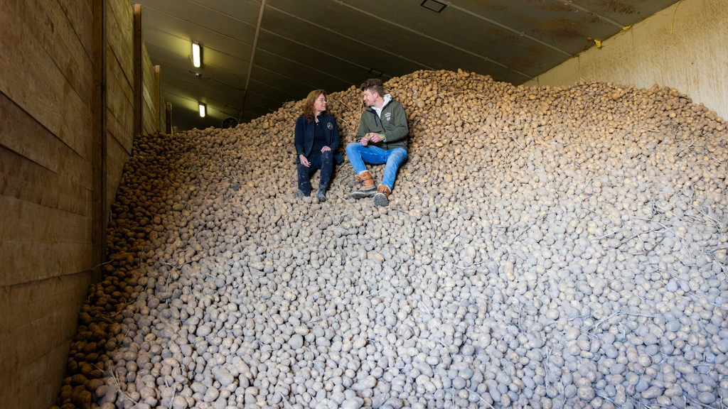 Initiatief moet boeren helpen om miljoenen aardappels kwijt te raken